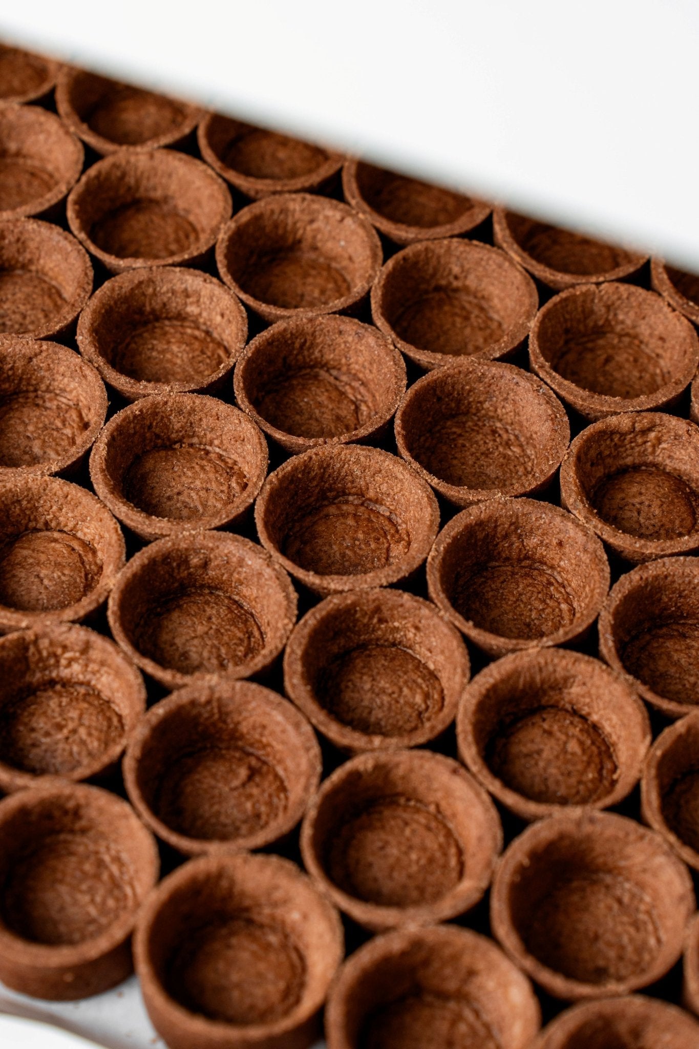 Mini Chocolate Tart Shells (144 pcs. per tray) - Fluffyummy Gastrogroup
