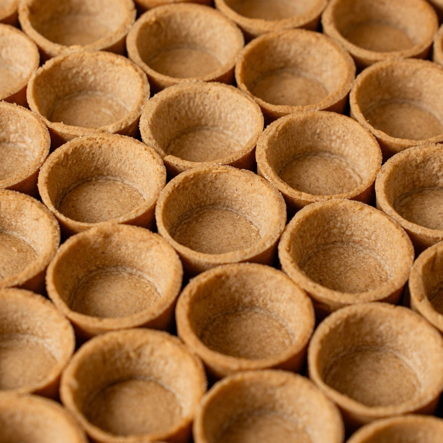 Mini SpeculoosTart Shells (144 pcs. per tray) - Fluffyummy Gastrogroup