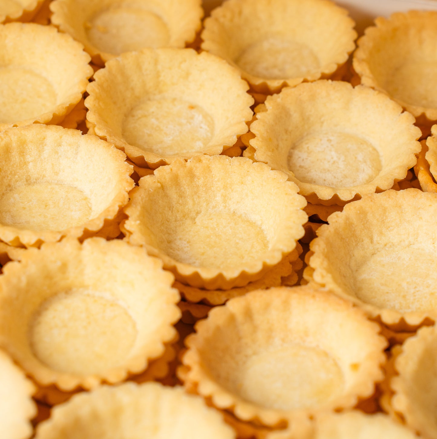 Medium Old Fashioned Sweet Tart Shells (84 pcs. per tray)