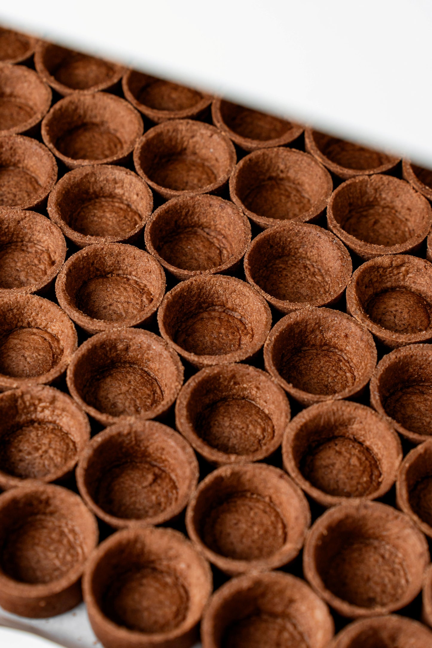 Mini Chocolate Tart Shells (144 pcs. per tray)