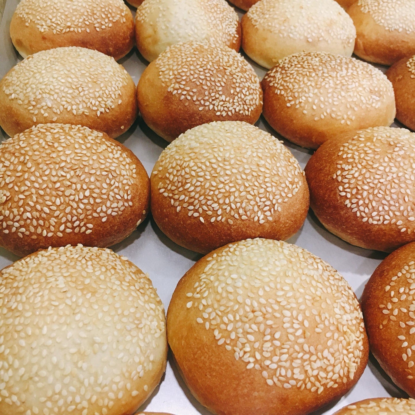 Burger Buns (6pcs)