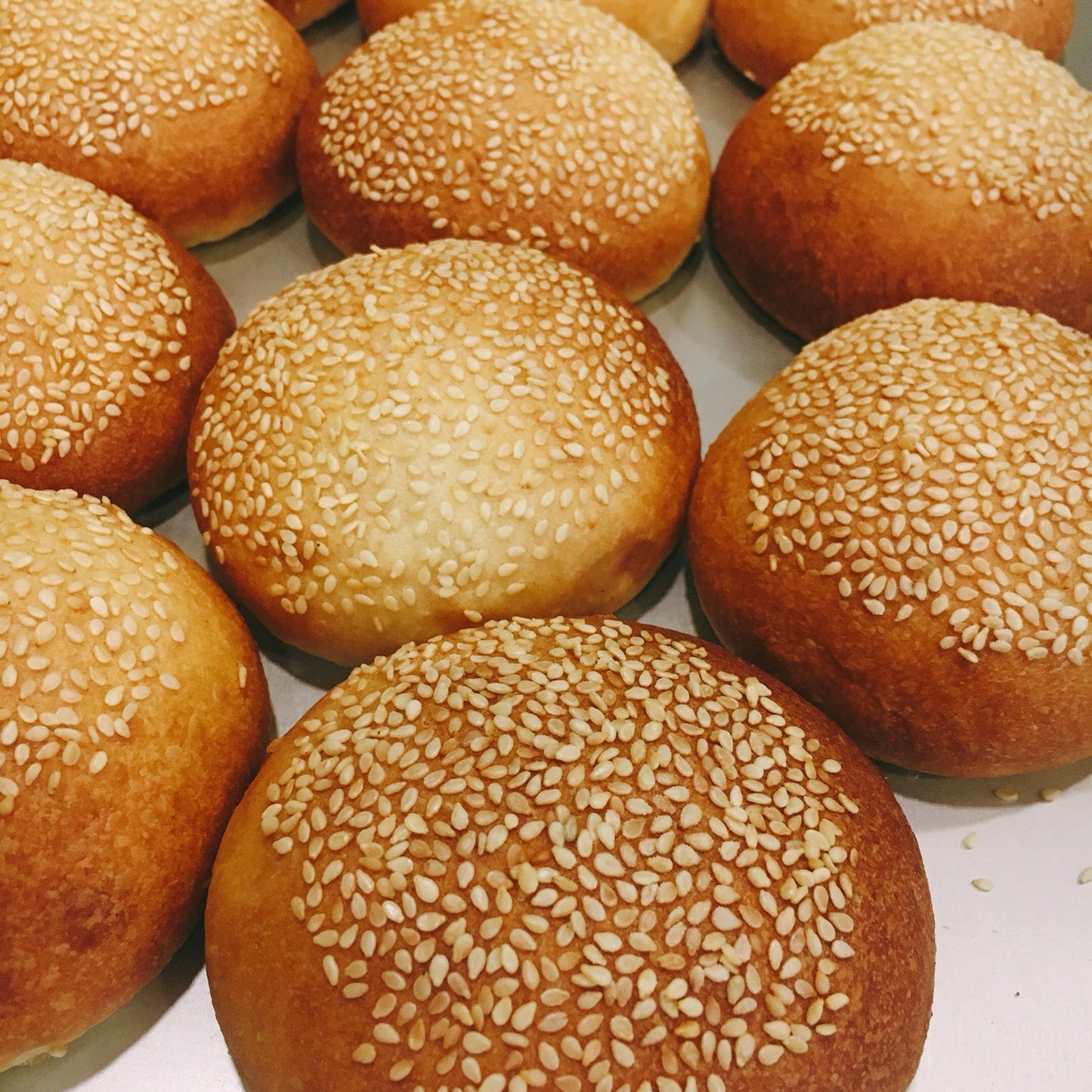 Burger Buns (6pcs)