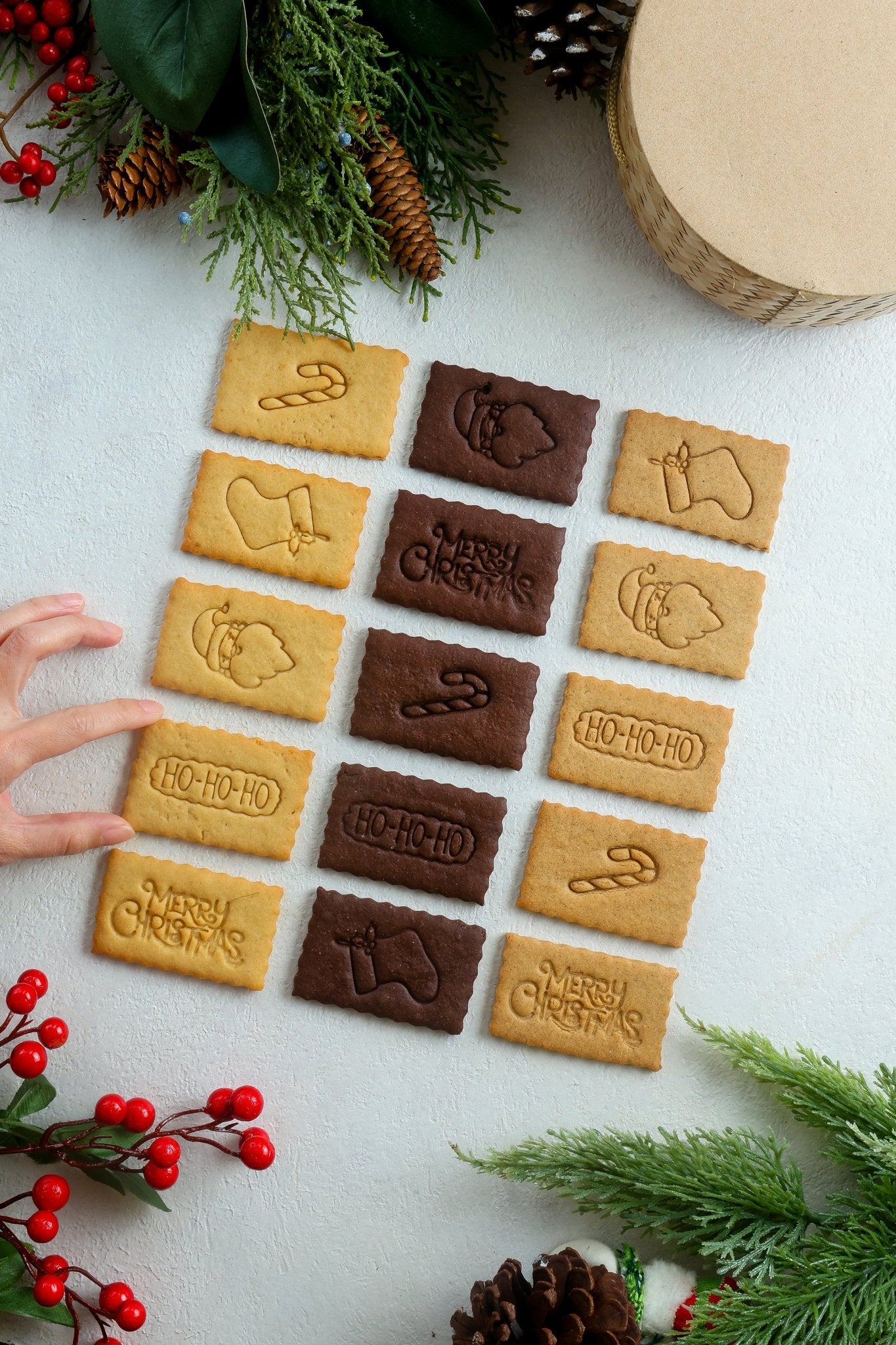Limited Edition Holiday Box Nomnom Biscuits - Fluffyummy Gastrogroup