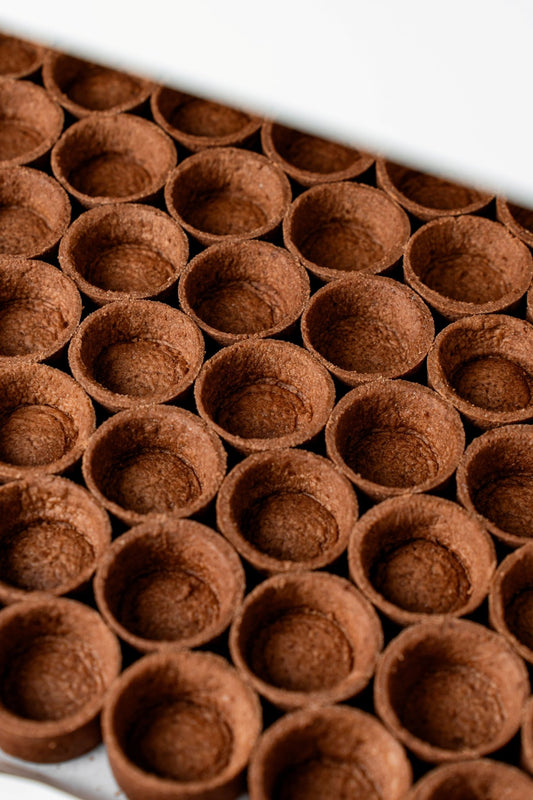 Mini Chocolate Tart Shells (144 pcs. per tray) - Fluffyummy Gastrogroup