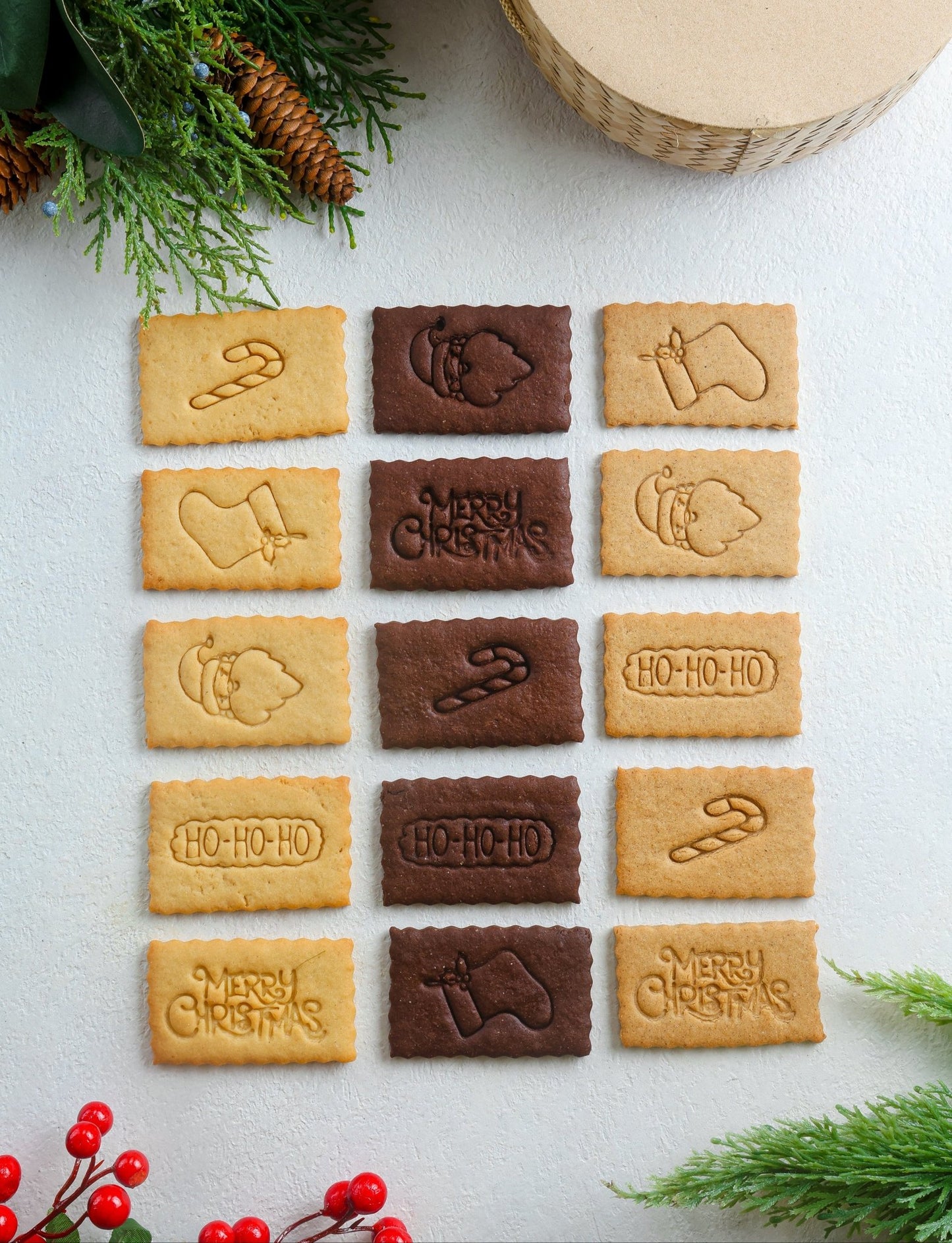 Nomnom Biscuits Sampler Pack - Fluffyummy Gastrogroup
